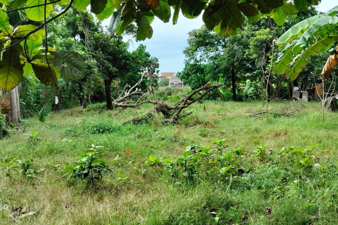 Land for Sale in Mohon, Talisay, Cebu – photo 5