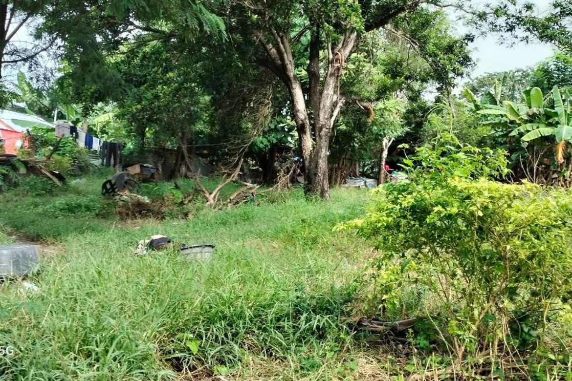 Land for Sale in Mohon, Talisay, Cebu – photo 6