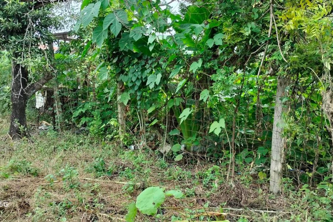 Land for Sale in Mohon, Talisay, Cebu – photo 8