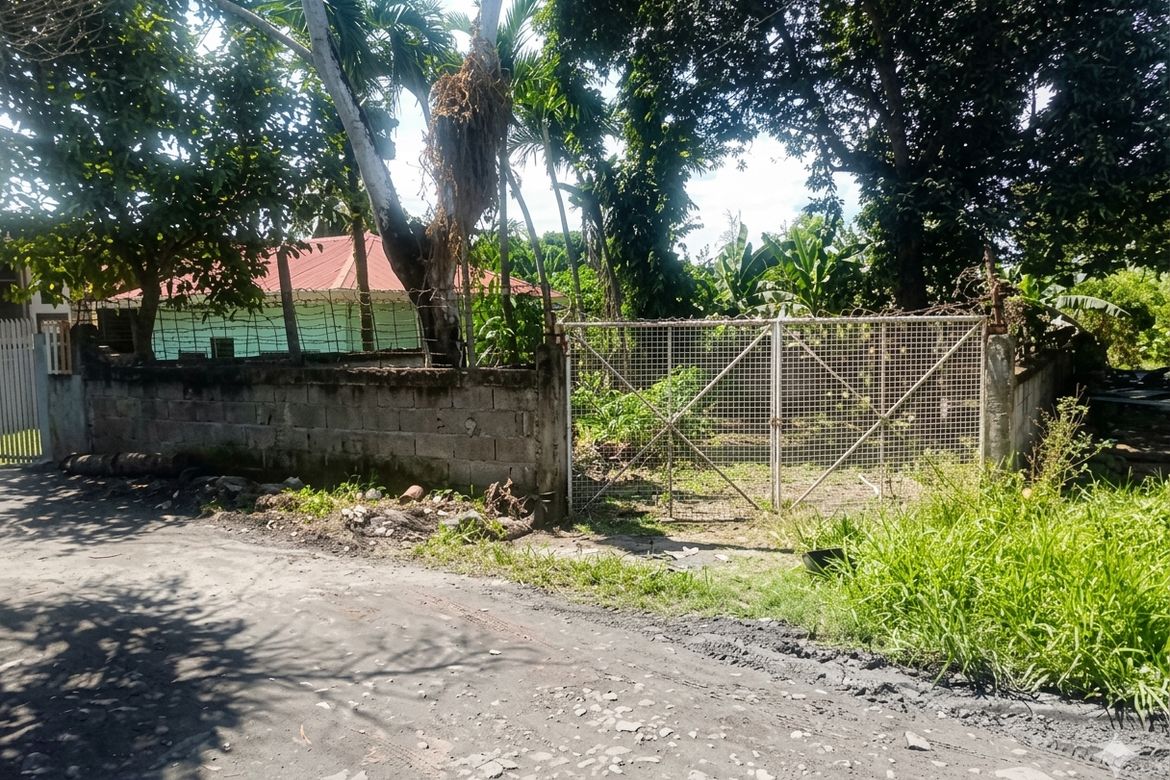 Land for Sale in Mohon, Talisay, Cebu