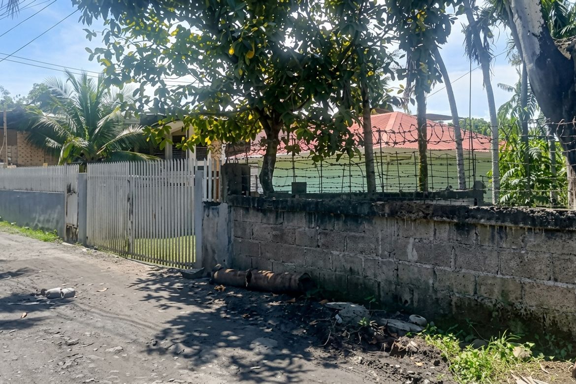 Land for Sale in Mohon, Talisay, Cebu – photo 2