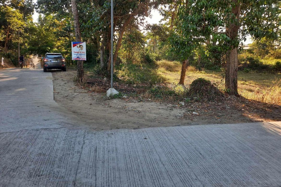 Land for Sale in Mojon-Tampoy, San Jose, Batangas – photo 2