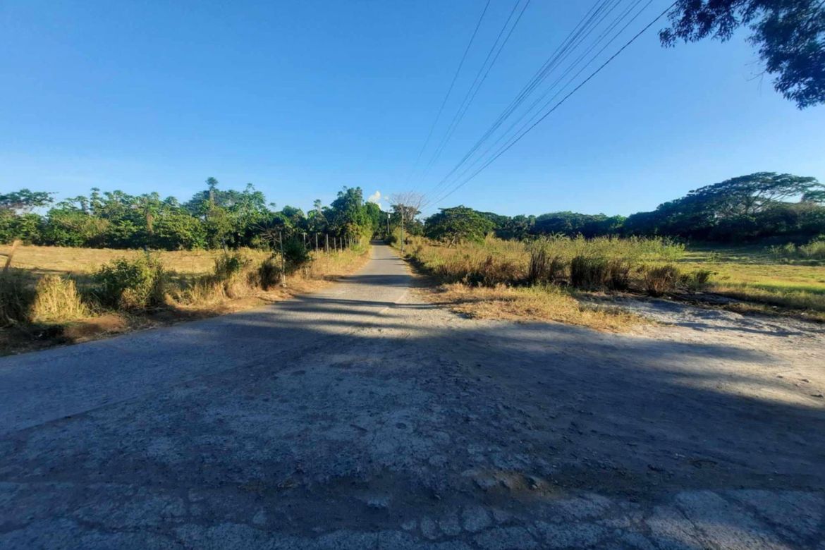 Land for Sale in Mojon-Tampoy, San Jose, Batangas – photo 4