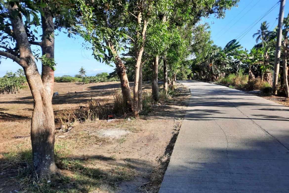 Land for Sale in Mojon-Tampoy, San Jose, Batangas – photo 6