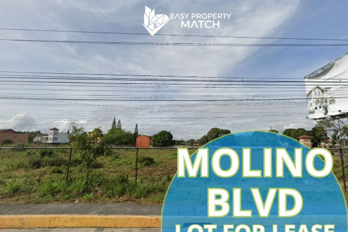 Land for Sale in Molino I, Bacoor, Cavite