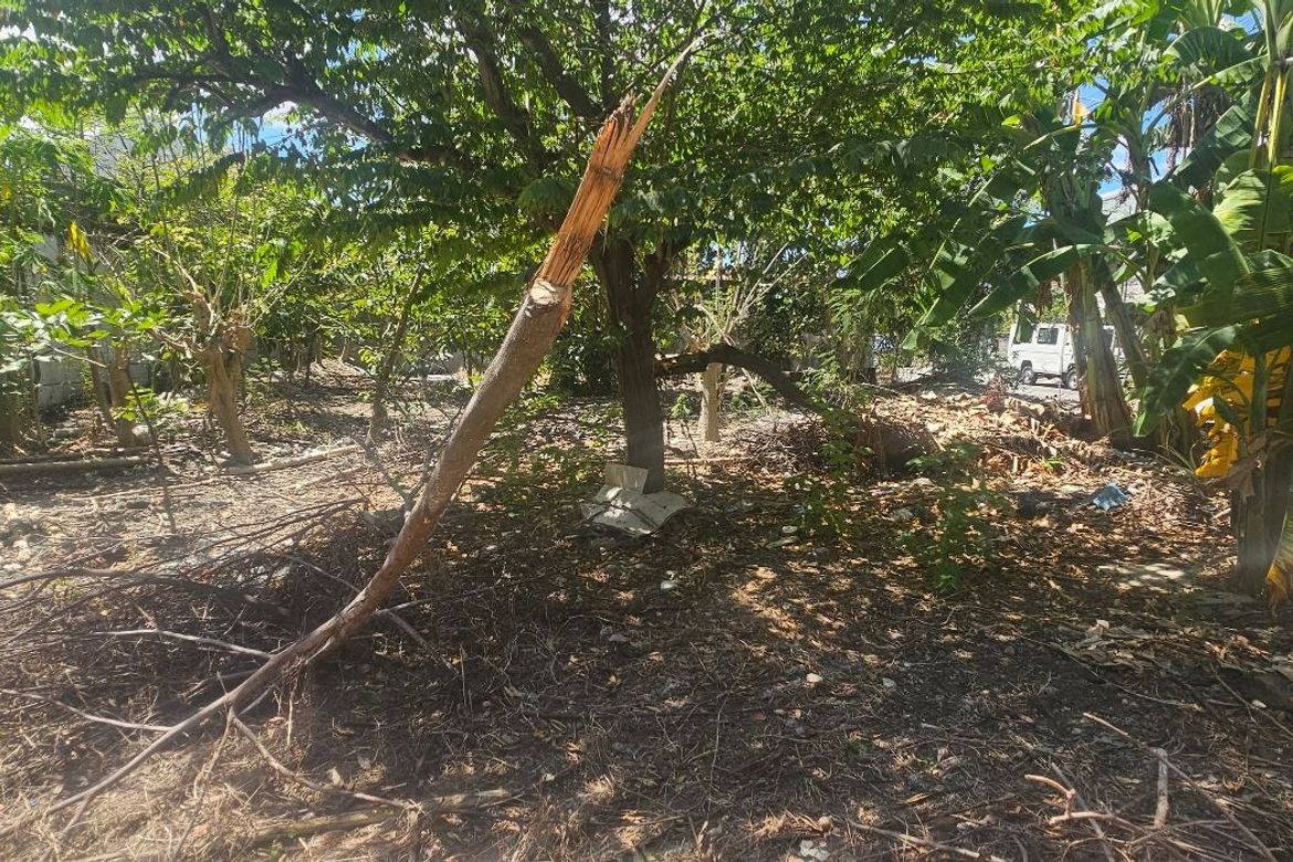 Land for Sale in Molino II, Bacoor, Cavite – photo 2