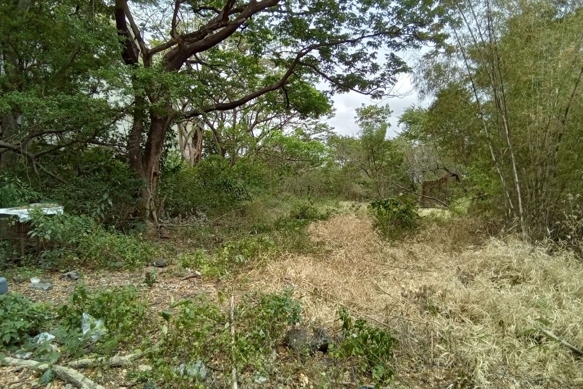 Land for Sale in Molino II, Bacoor, Cavite – photo 7