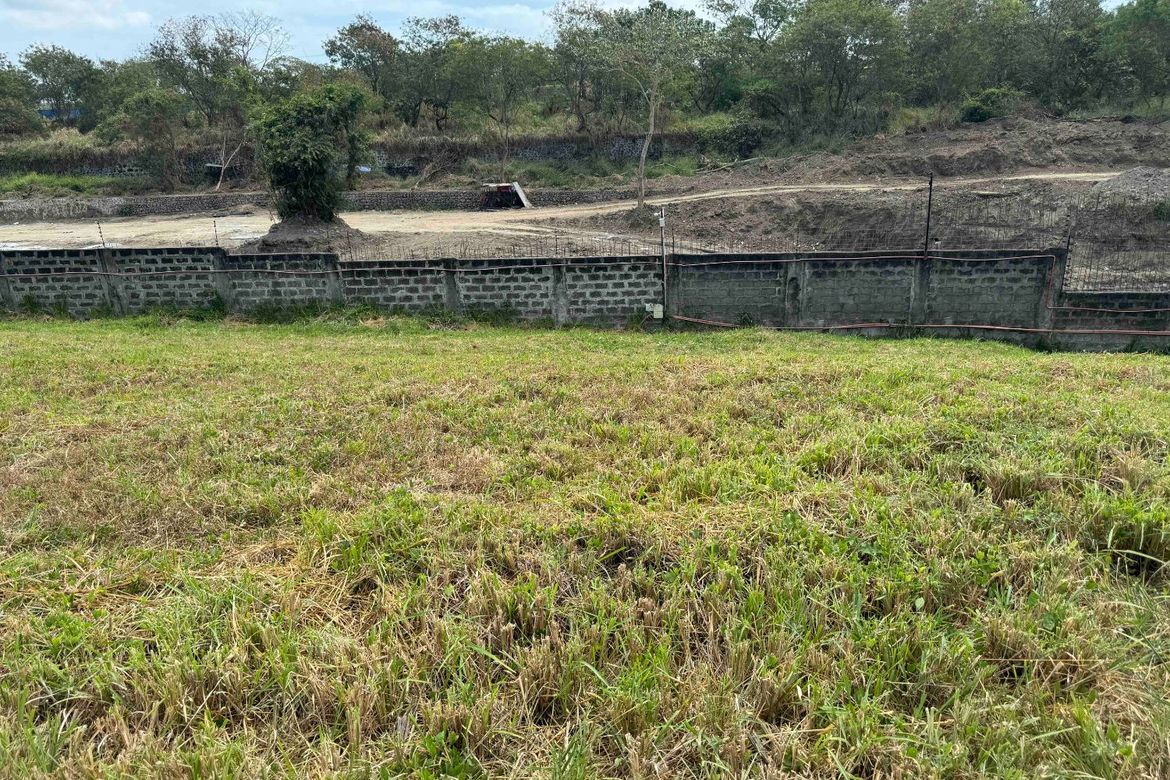 Land for Sale in Molino IV, Bacoor, Cavite – photo 4