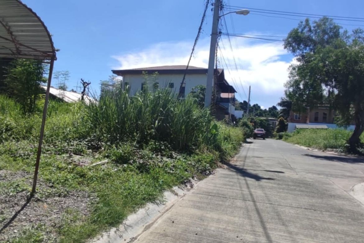 Land for Sale in Montclair Highlands, Calinan, Davao City, Davao del Sur – photo 5