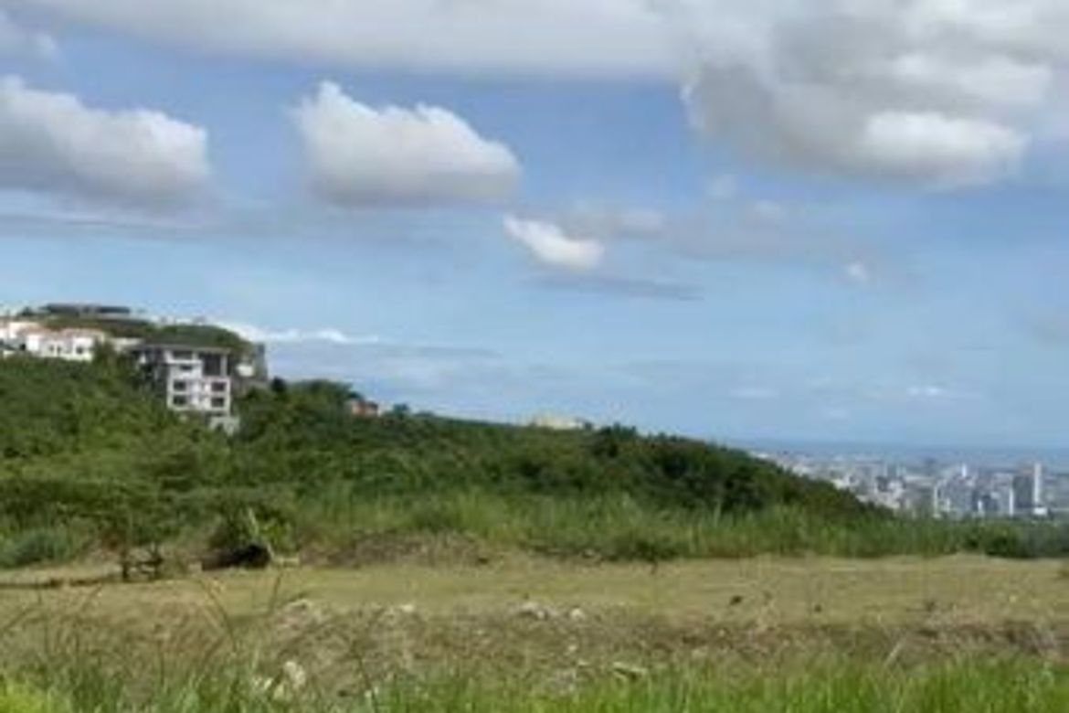 Land for Sale in Monterrazas de Cebu, Guadalupe, Cebu City, Cebu