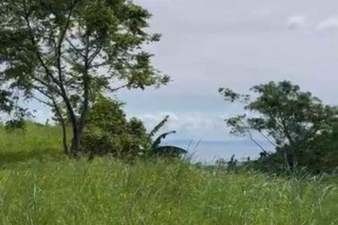 Land for Sale in Monterrazas de Cebu, Guadalupe, Cebu City, Cebu – photo 5