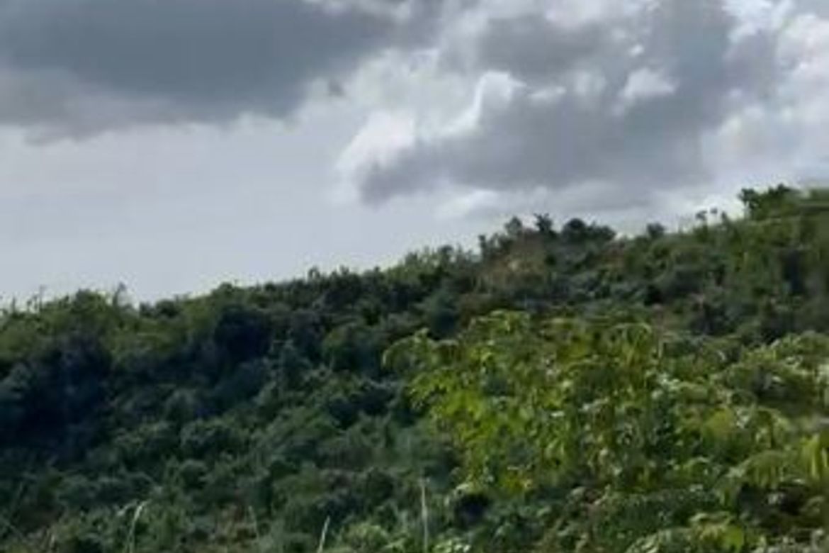 Land for Sale in Monterrazas de Cebu, Guadalupe, Cebu City, Cebu – photo 6