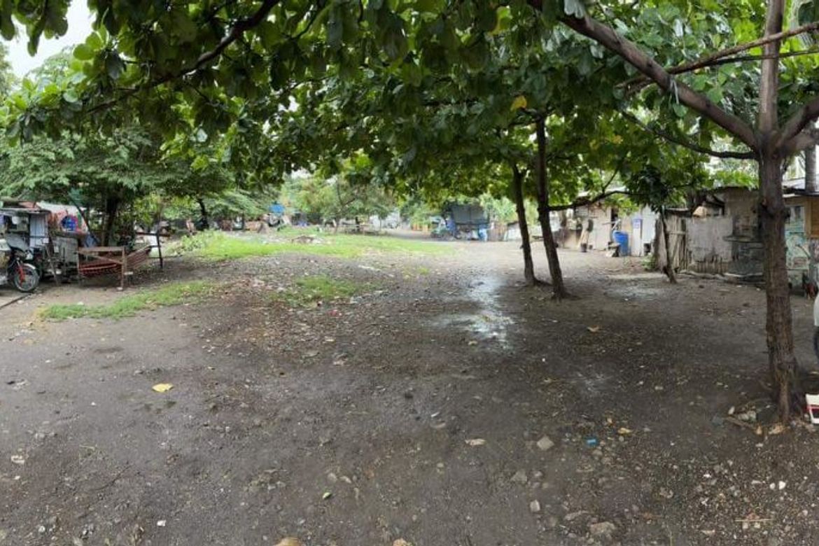Land for Sale in Moonwalk, Parañaque, Metro Manila – photo 3