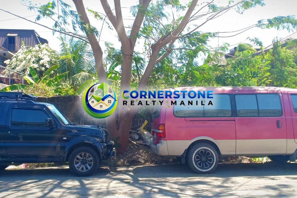 Land for Sale in Moonwalk, Parañaque, Metro Manila
