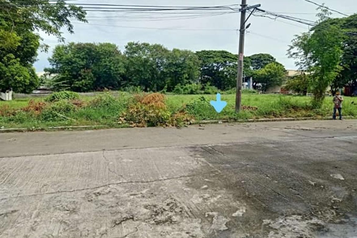 Land for Sale in Moonwalk, Parañaque, Metro Manila