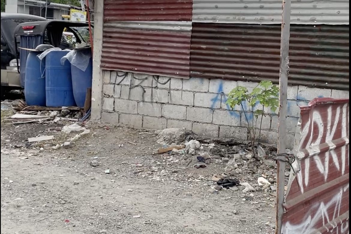 Land for Sale in Moonwalk, Parañaque, Metro Manila – photo 3