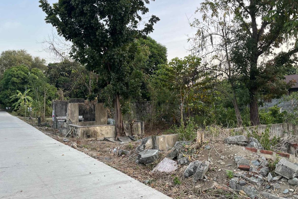 Land for Sale in Moriones, San Jose, Tarlac – photo 4
