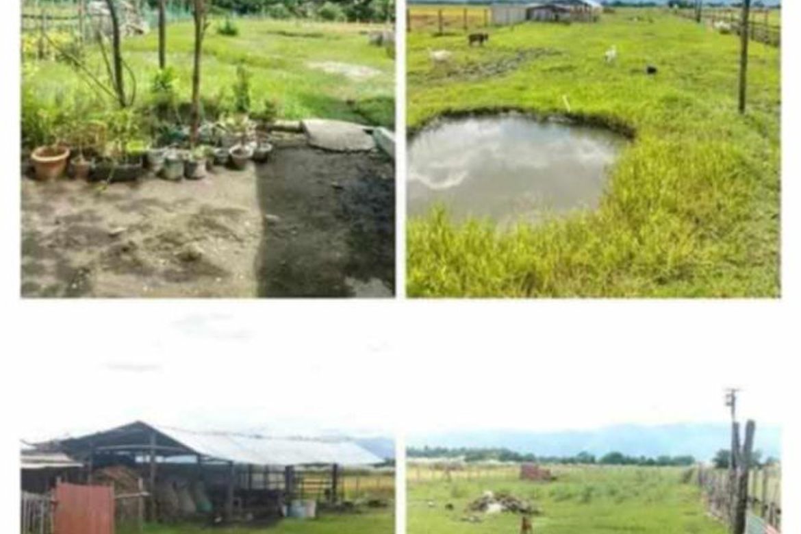 Land for Sale in Moriones, San Jose, Tarlac – photo 5