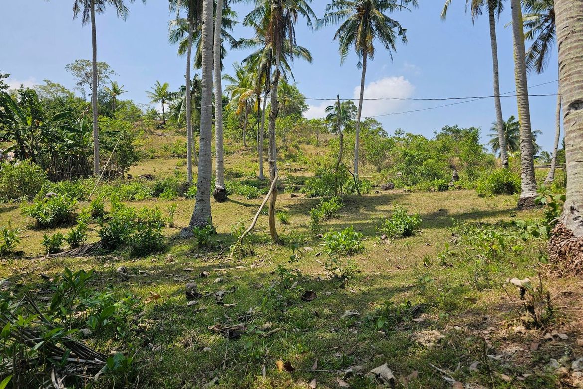 Land for Sale in Moto Norte, Loon, Bohol