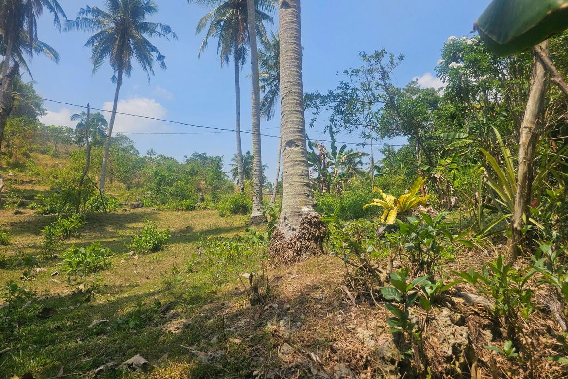 Land for Sale in Moto Norte, Loon, Bohol – photo 2