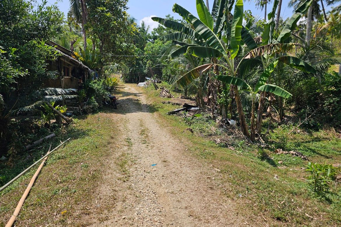 Land for Sale in Moto Norte, Loon, Bohol – photo 4