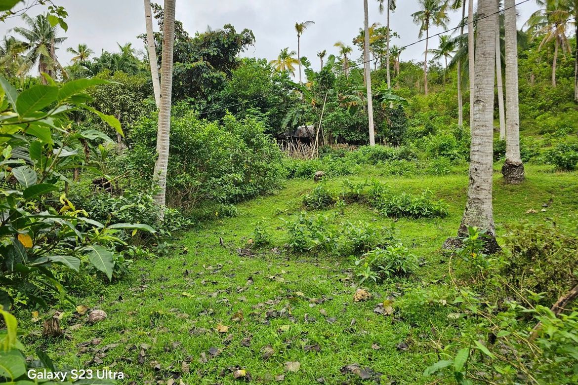 Land for Sale in Moto Norte, Loon, Bohol – photo 5