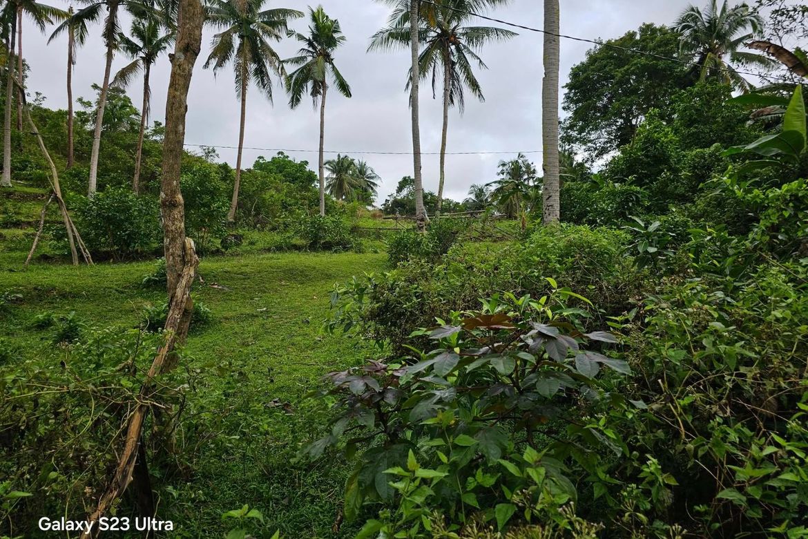 Land for Sale in Moto Norte, Loon, Bohol – photo 6