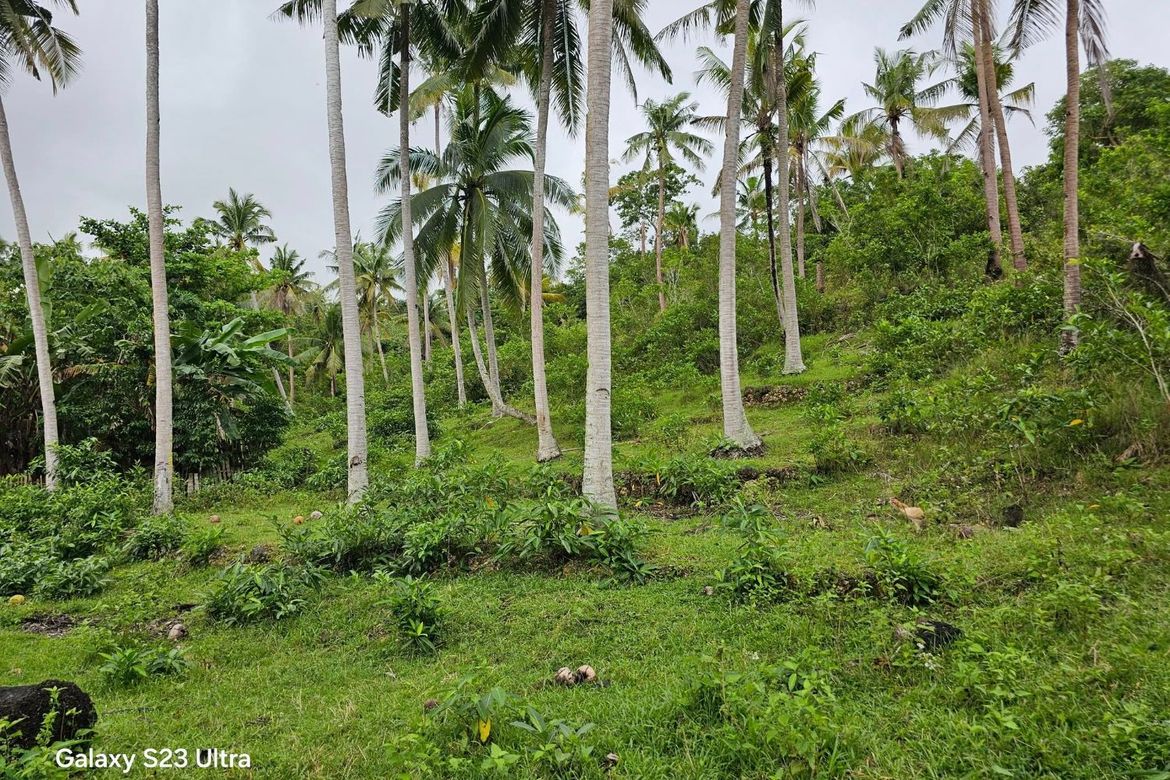 Land for Sale in Moto Norte, Loon, Bohol – photo 7