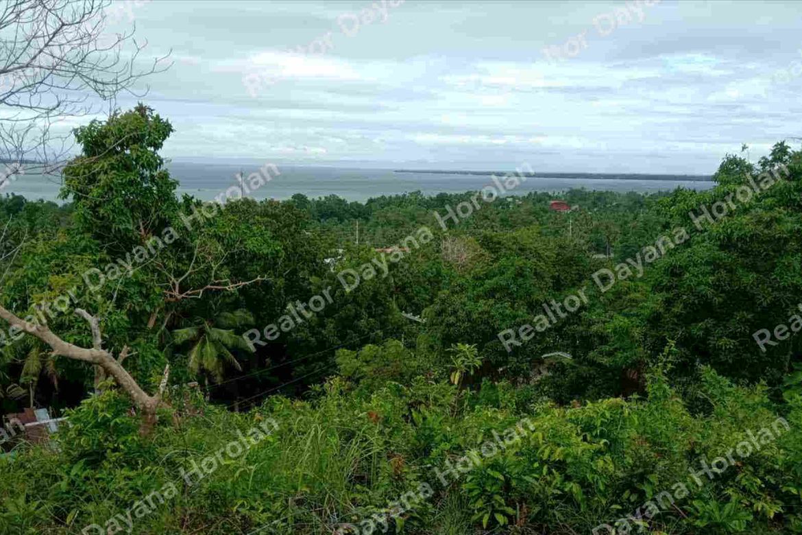Land for Sale in Moto Norte, Loon, Bohol – photo 2
