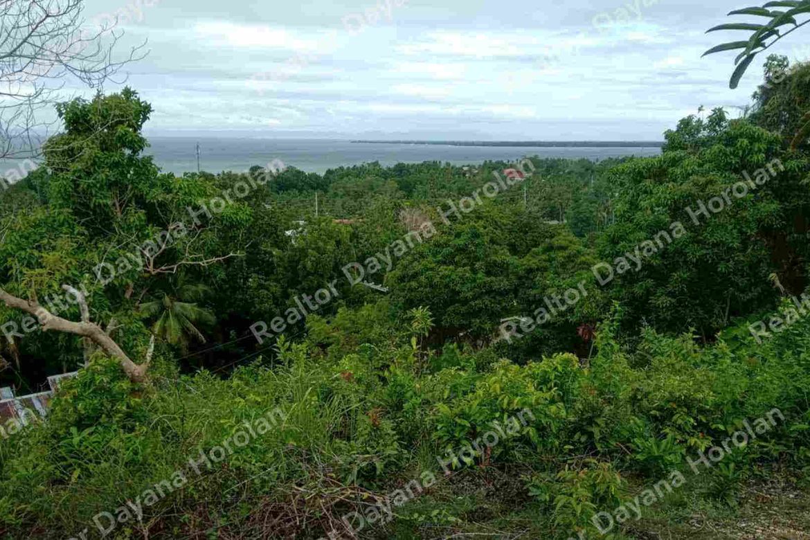 Land for Sale in Moto Norte, Loon, Bohol – photo 5