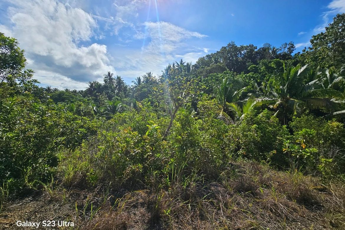 Land for Sale in Moto Norte, Loon, Bohol – photo 4