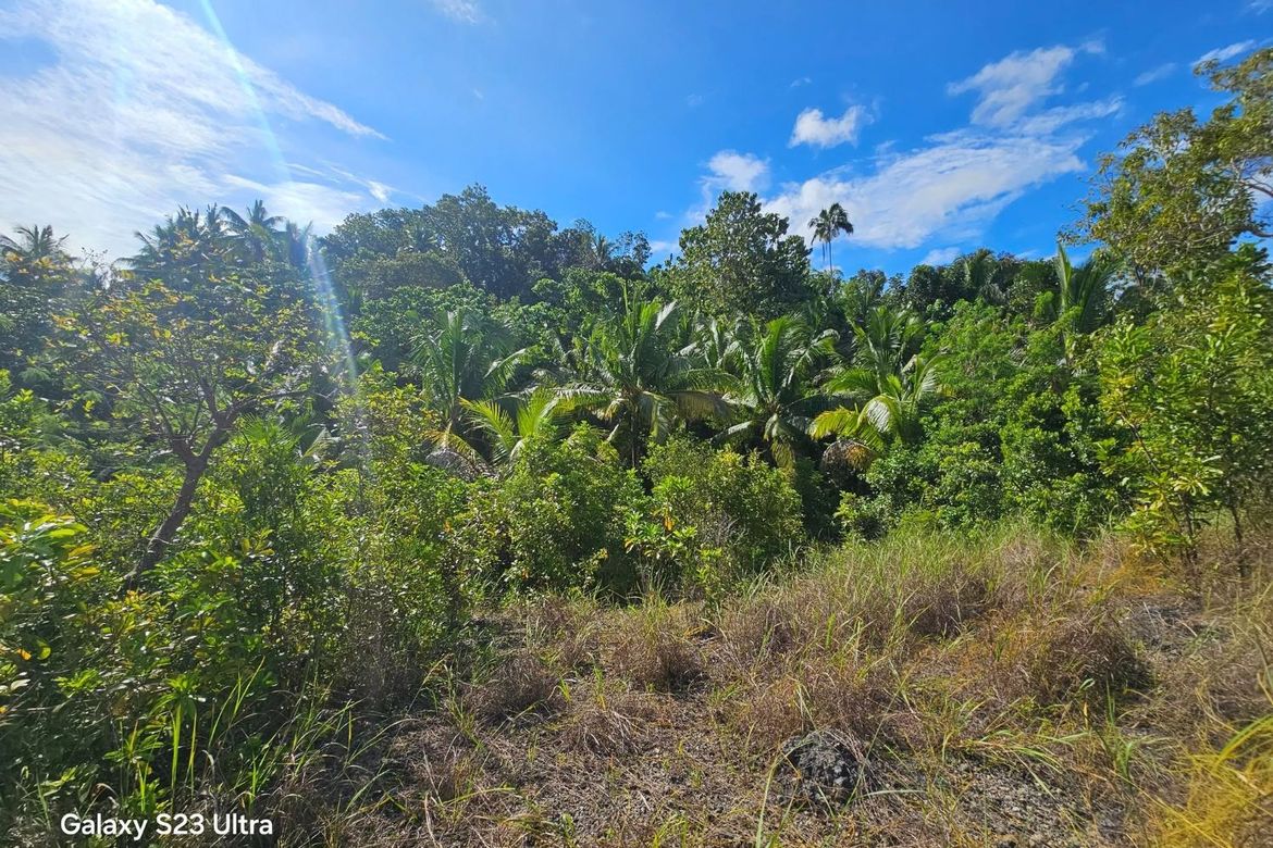 Land for Sale in Moto Norte, Loon, Bohol – photo 5