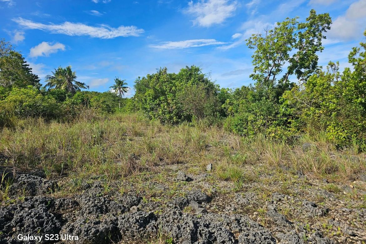 Land for Sale in Moto Norte, Loon, Bohol – photo 6