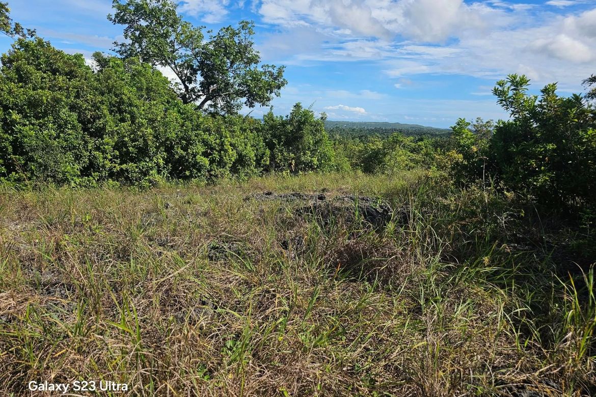 Land for Sale in Moto Norte, Loon, Bohol – photo 7