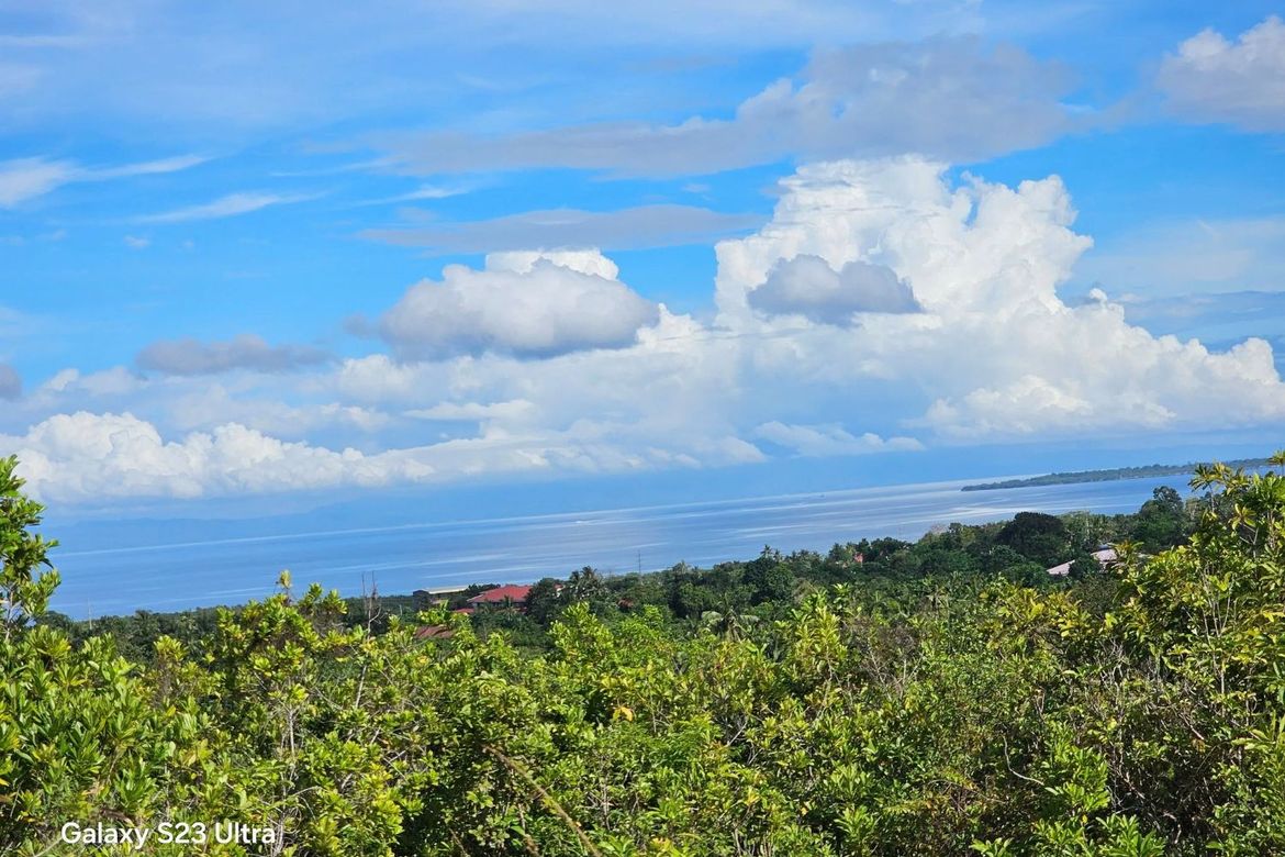 Land for Sale in Moto Norte, Loon, Bohol – photo 8