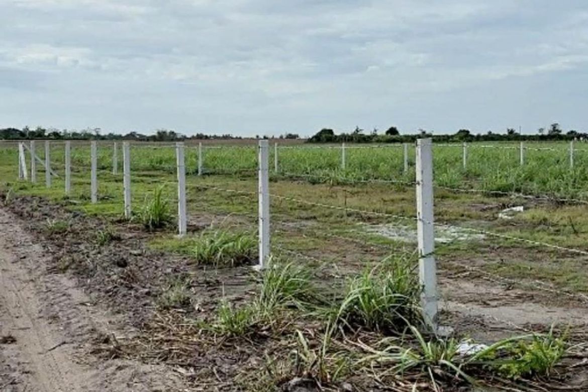 Land for Sale in Motrico, La Paz, Tarlac