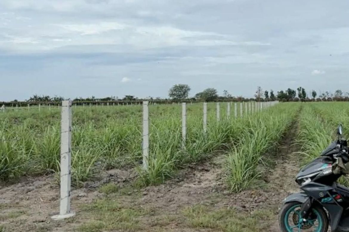 Land for Sale in Motrico, La Paz, Tarlac – photo 3