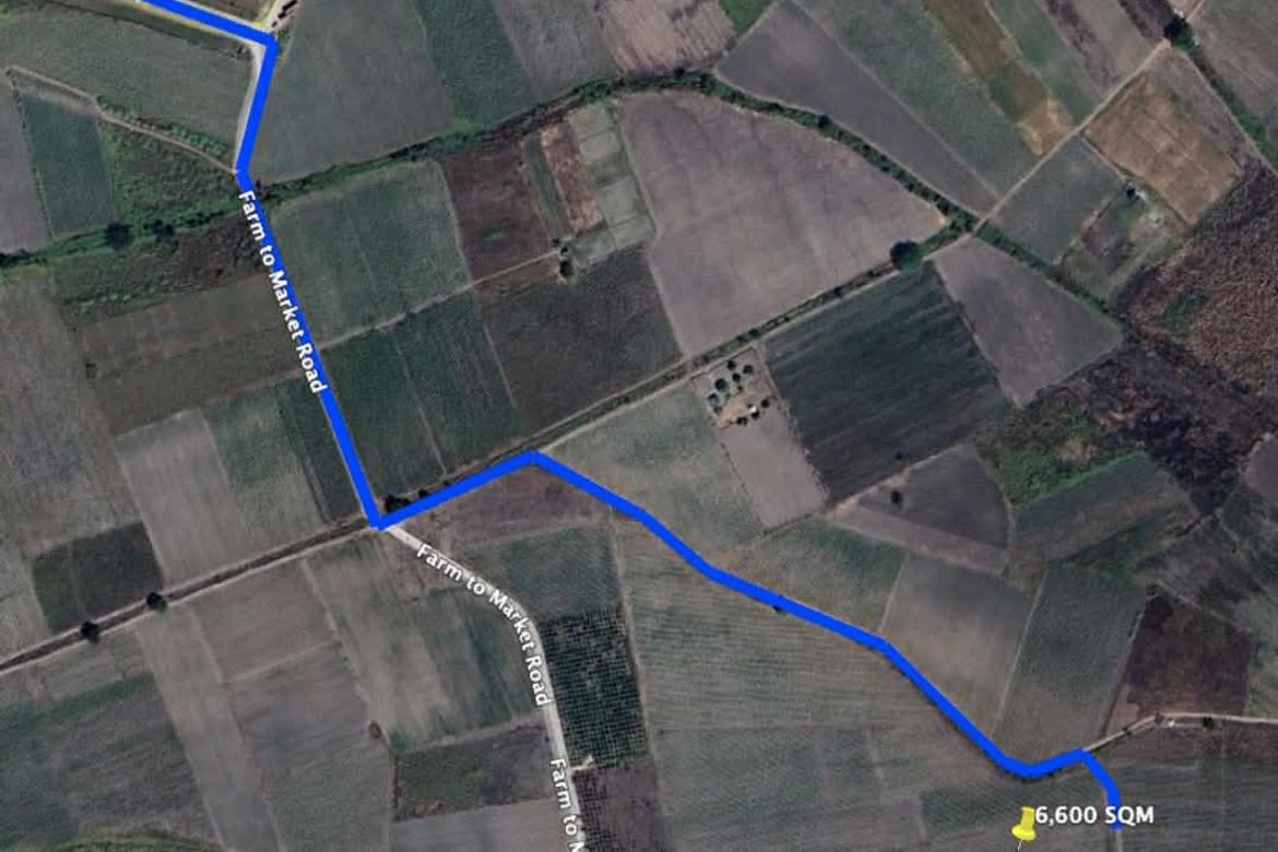 Land for Sale in Motrico, La Paz, Tarlac – photo 4