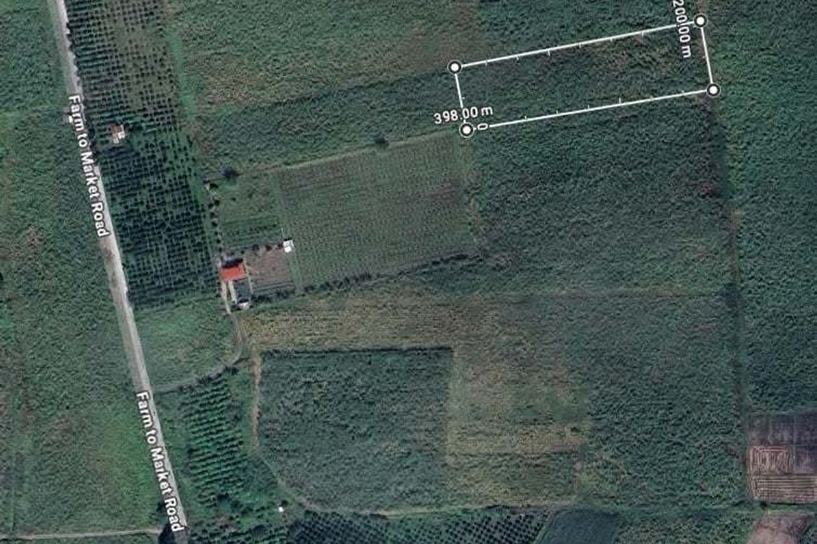 Land for Sale in Motrico, La Paz, Tarlac – photo 5