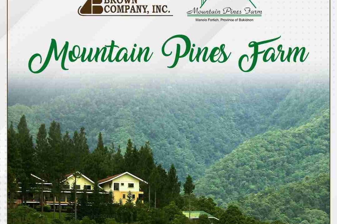 Land for Sale in Mountain Pines Farm, Kalugmanan, Manolo Fortich, Bukidnon