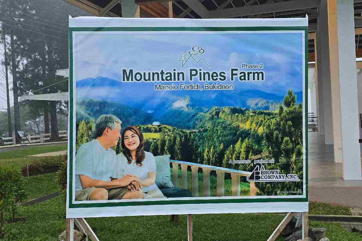 Land for Sale in Mountain Pines Farm, Kalugmanan, Manolo Fortich, Bukidnon – photo 2