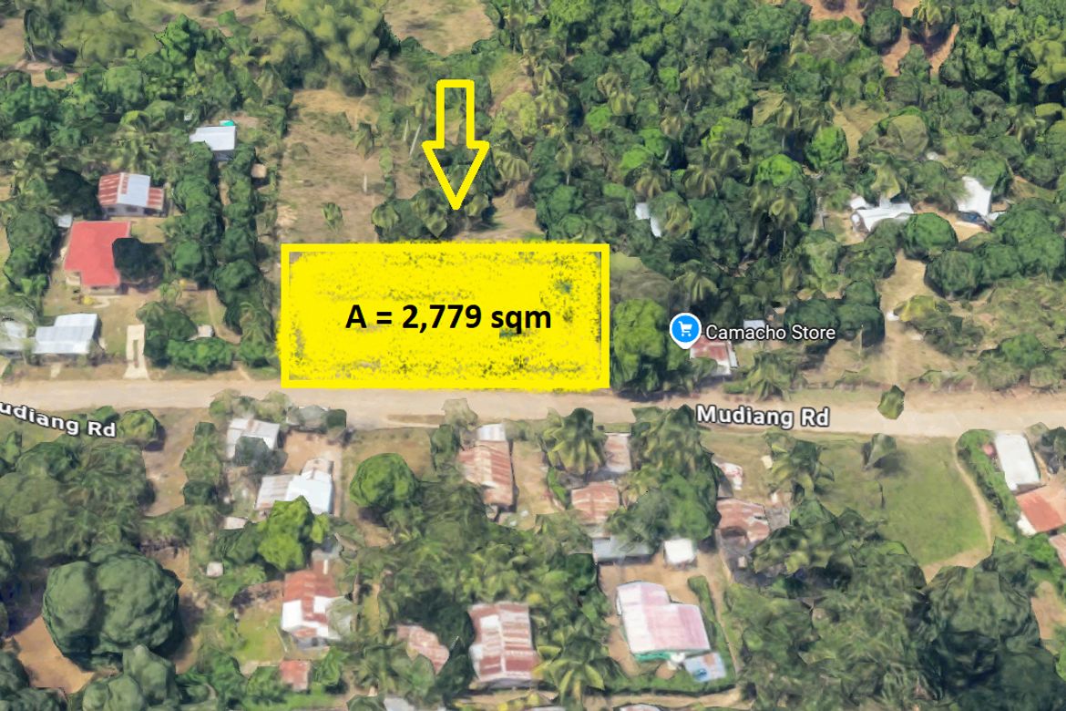 Land for Sale in Mudiang, Davao City, Davao del Sur – photo 3