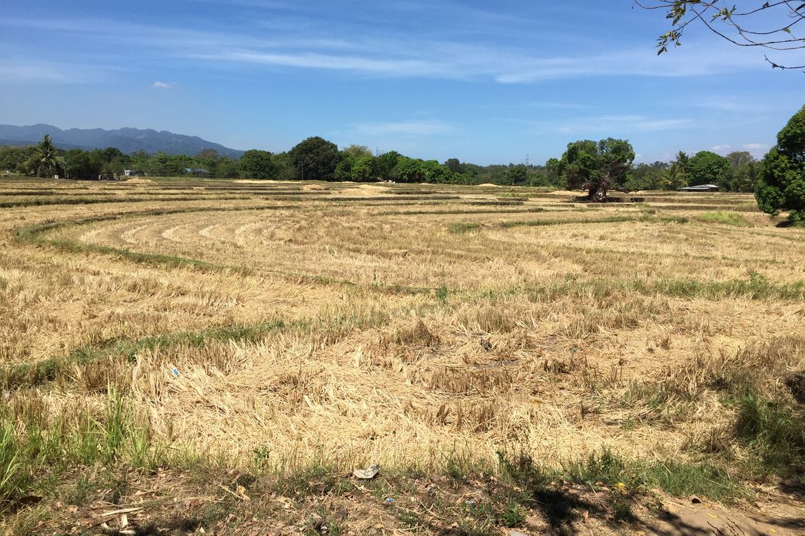 Land for Sale in Mulawin, Orani, Bataan