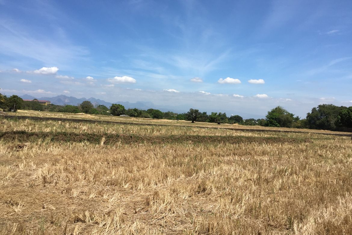 Land for Sale in Mulawin, Orani, Bataan – photo 4