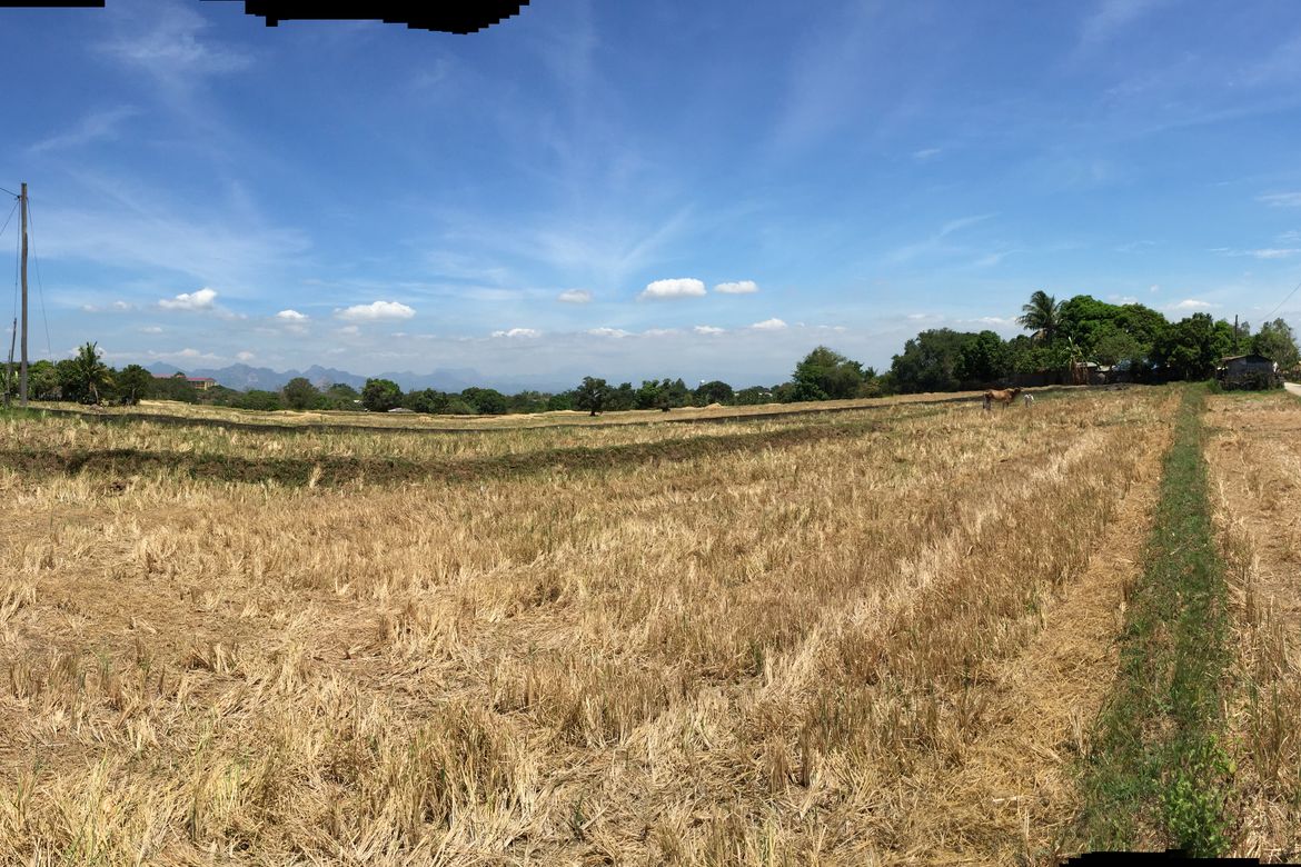 Land for Sale in Mulawin, Orani, Bataan – photo 7