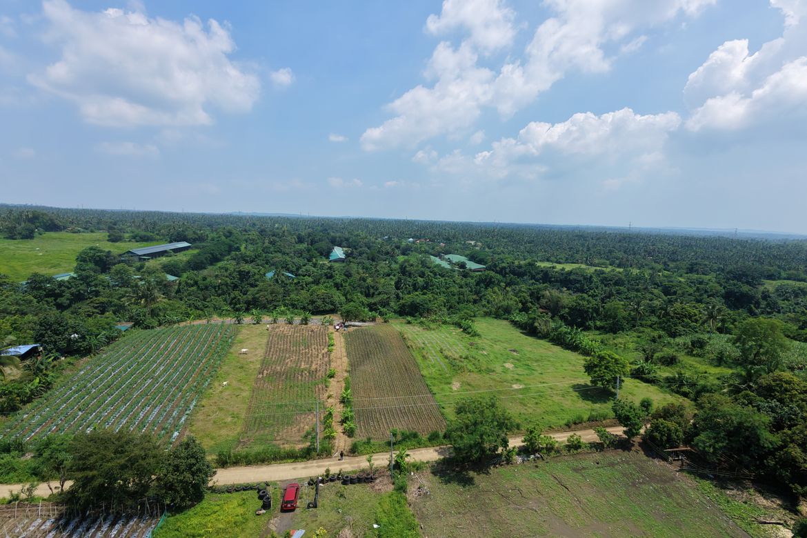 Land for Sale in Munting Coral, Calaca, Batangas