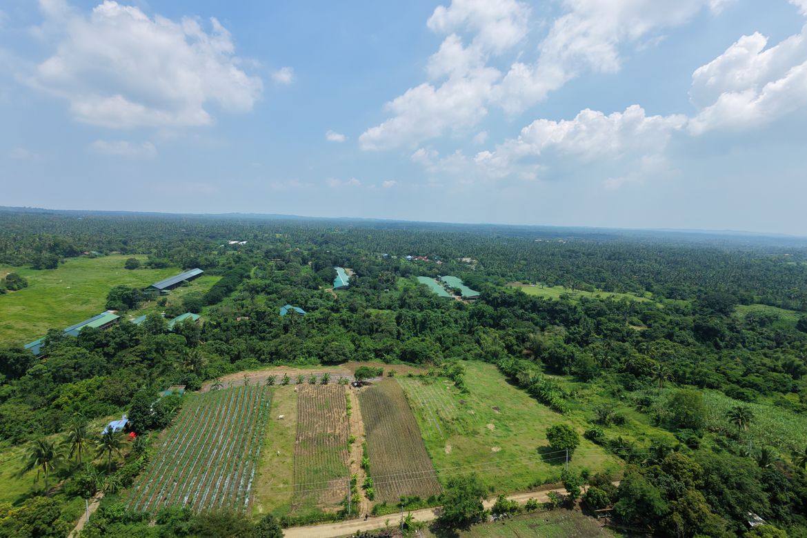 Land for Sale in Munting Coral, Calaca, Batangas – photo 2