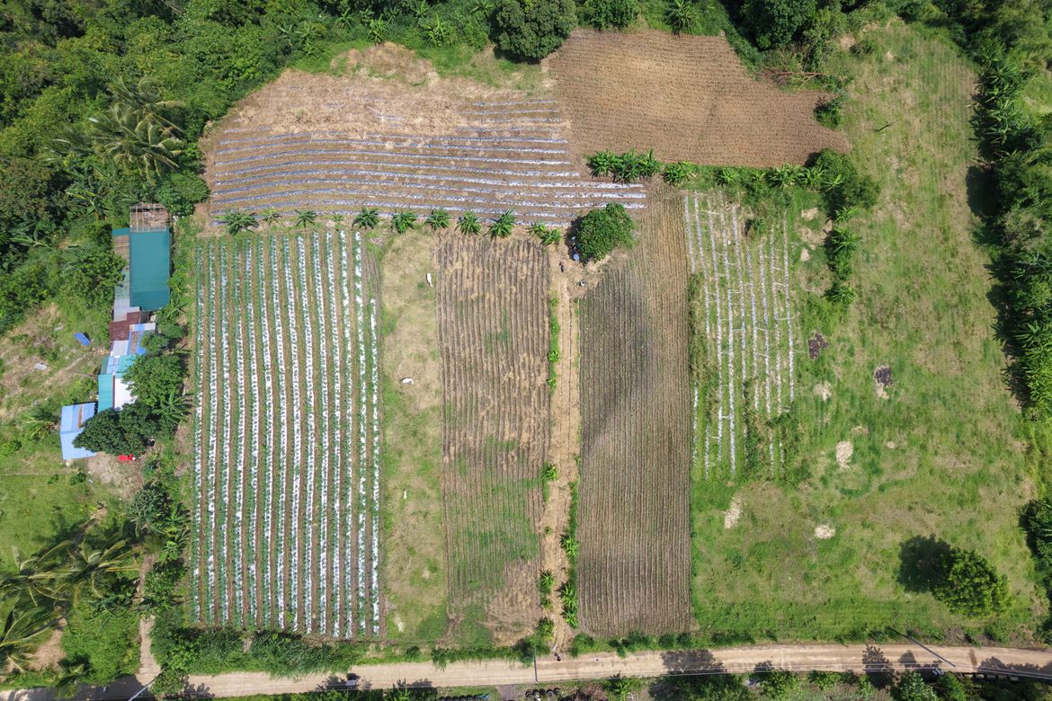 Land for Sale in Munting Coral, Calaca, Batangas – photo 4