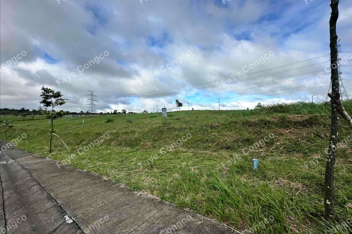 Land for Sale in Munting Ilog, Silang, Cavite – photo 3
