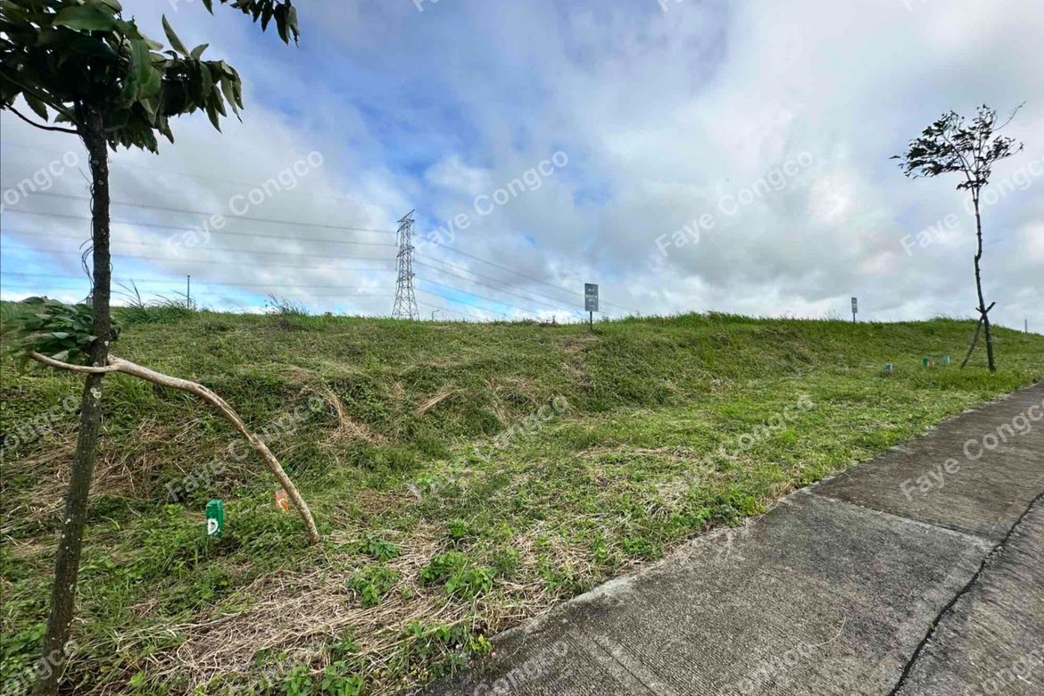 Land for Sale in Munting Ilog, Silang, Cavite – photo 4